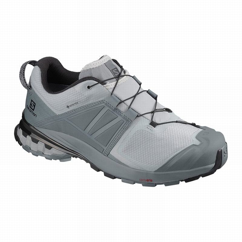 Zapatillas Trail Running Salomon Hombre Gris - Salomon Argentina XA WILD GORE-TEX ,940175-AVE